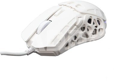 GM-5016 Ector White