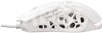 GM-5016 Ector White