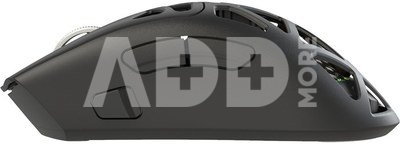 White Shark MORIEN WGM-5025 Black