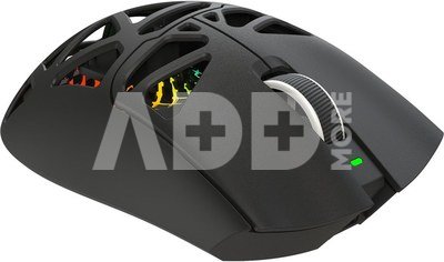White Shark MORIEN WGM-5025 Black