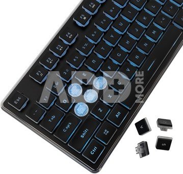 GK-003141 Tachi Black US