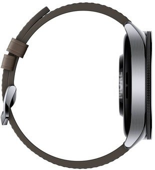 Xiaomi Watch 2 Pro, silver/brown