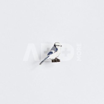 Ženkliukas AZURE TIT / Žydroji zylė