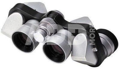 Nikon Mikron 6x15 CF silver