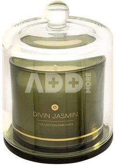Žvakė stikliniame indelyje 240 g 10.8x13.8 cm jazminų kv. Atmosphera 204723E