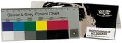 BIG color and gray card (486016)