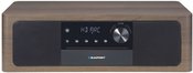 Blaupunkt MS22BT