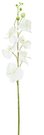 Dekoratyvinė gėlė Orchidėja balta/rožinė (12) h 90 cm SAVEX