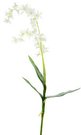 Dekoratyvinė gėlė Orchidėja smulkiažiedė balta (12) h 78 cm SAVEX