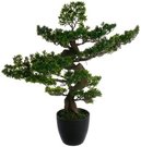 Dekoratyvinis augalas Bonsas 80 cm juodas vazonas Atmosphera 135300