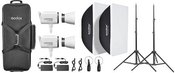 Godox Litemons LA300Bi Bi color LED Video Light 2 light kit