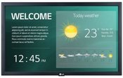 LG Electronics Monitor 22 inches 22SM3G 250cd/m2 16/7