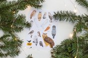 Lipdukai &bdquo;Tobulos medžiotojos. 13 Lietuvos pelėdų&ldquo; Smart Bird