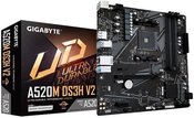 GIGABYTE A520M DS3H V2 1.1 M/B