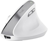 MOUSE USB OPTICAL WRL BAYO II/ERGO WHT 25398 TRUST