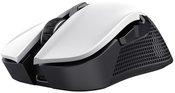 MOUSE USB OPTICAL WRL YBAR/GTX923W 24889 TRUST