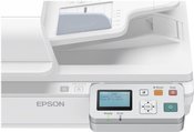 Epson Network Interface Panel