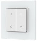 PF1-2(G) RF Remote Control, Single Color, 2 Zones