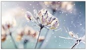 Samsung Professional monitor VM46B-U 46 inch Video wall Mat 24h/7 500(cd/m2) 1920 x 1080(FHD) N/A 3 years d2d (LH46VMBUBGBXEN)