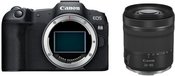Canon EOS R8 + RF24-105 F4-7.1 IS STM