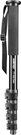 walimex Monopod FT-1502 Alu 177cm