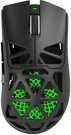 White Shark MORIEN WGM-5025 Black