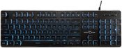 GK-003141 Tachi Black US