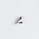 Ženkliukas AZURE TIT / Žydroji zylė