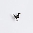 Ženkliukas BLACKBIRD / Juodasis strazdas