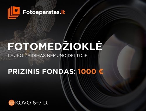 FOTOMEDŽIOKLĖ – lauko žaidimas Nemuno deltoje 📸 🦅