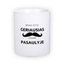 Standard white mug (300 ml)