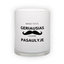 Frosted glass mug (300 ml)