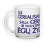 Frosted glass mug (300 ml)