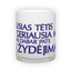 Frosted glass mug (300 ml)