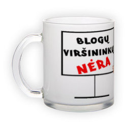 Frosted glass mug (300 ml)