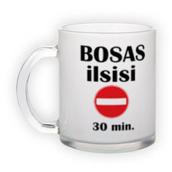 Frosted glass mug (300 ml)
