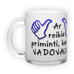 Frosted glass mug (300 ml)