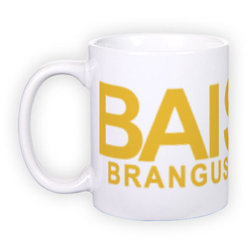Standard white mug (300 ml)