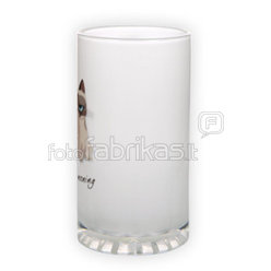 Frosted glass beer mug (500 ml)