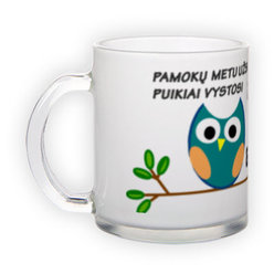 Frosted glass mug (300 ml)