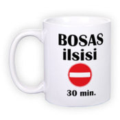 Standard white mug (300 ml)