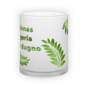 Mattklaasiga tass (300 ml)