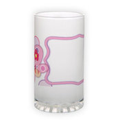 Frosted glass beer mug (500 ml)