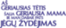 Frosted glass mug (300 ml)